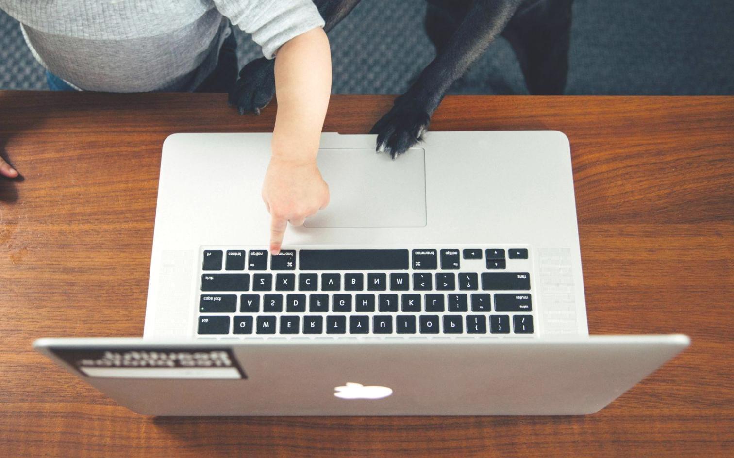 Minimalistisches Finanzplanning mit klarer Struktur